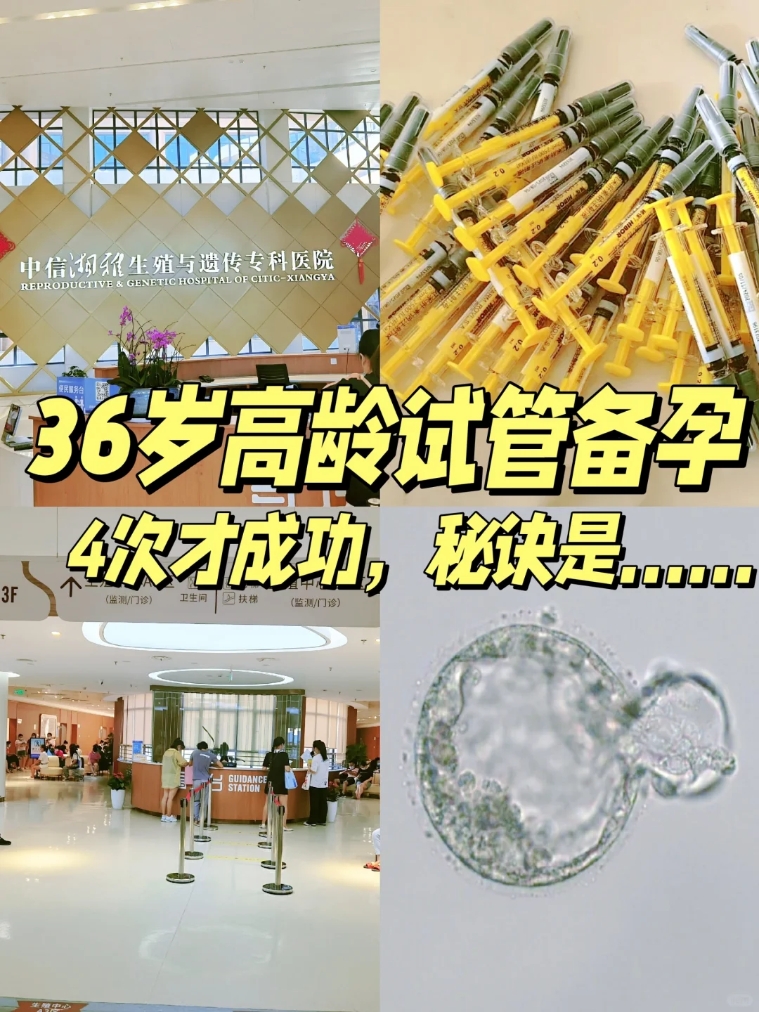 36岁高龄备孕，4次才成功，秘诀是......,代孕试管成功率高吗_国内代生儿子地址