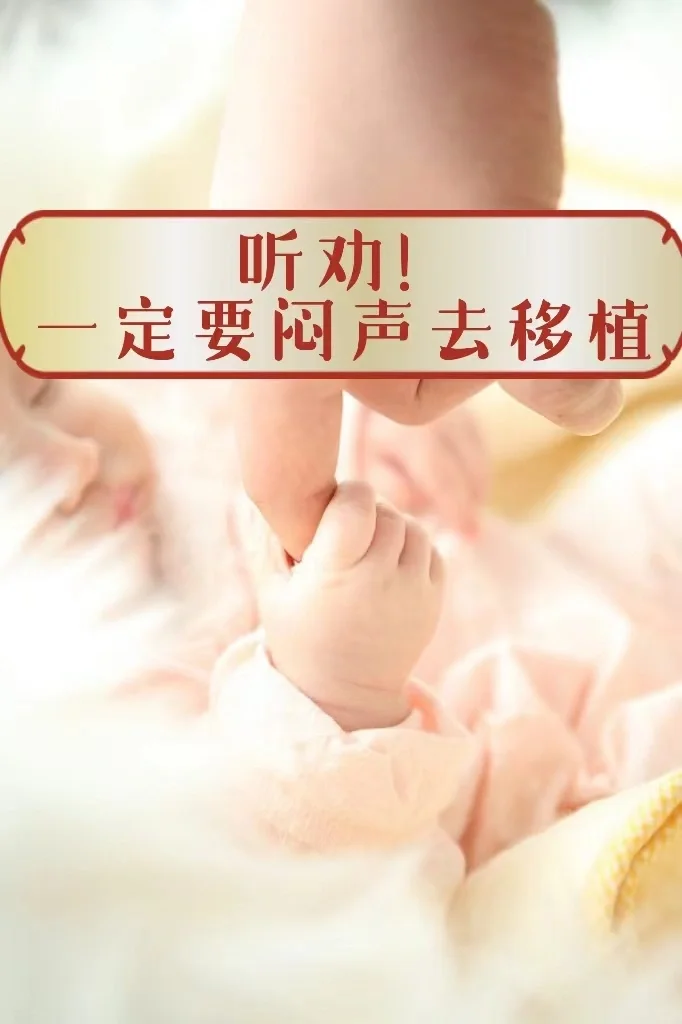 移植失败的血泪教训！移植，一定要悄悄去！,国内做供卵试管多吗_专业代孕产子网